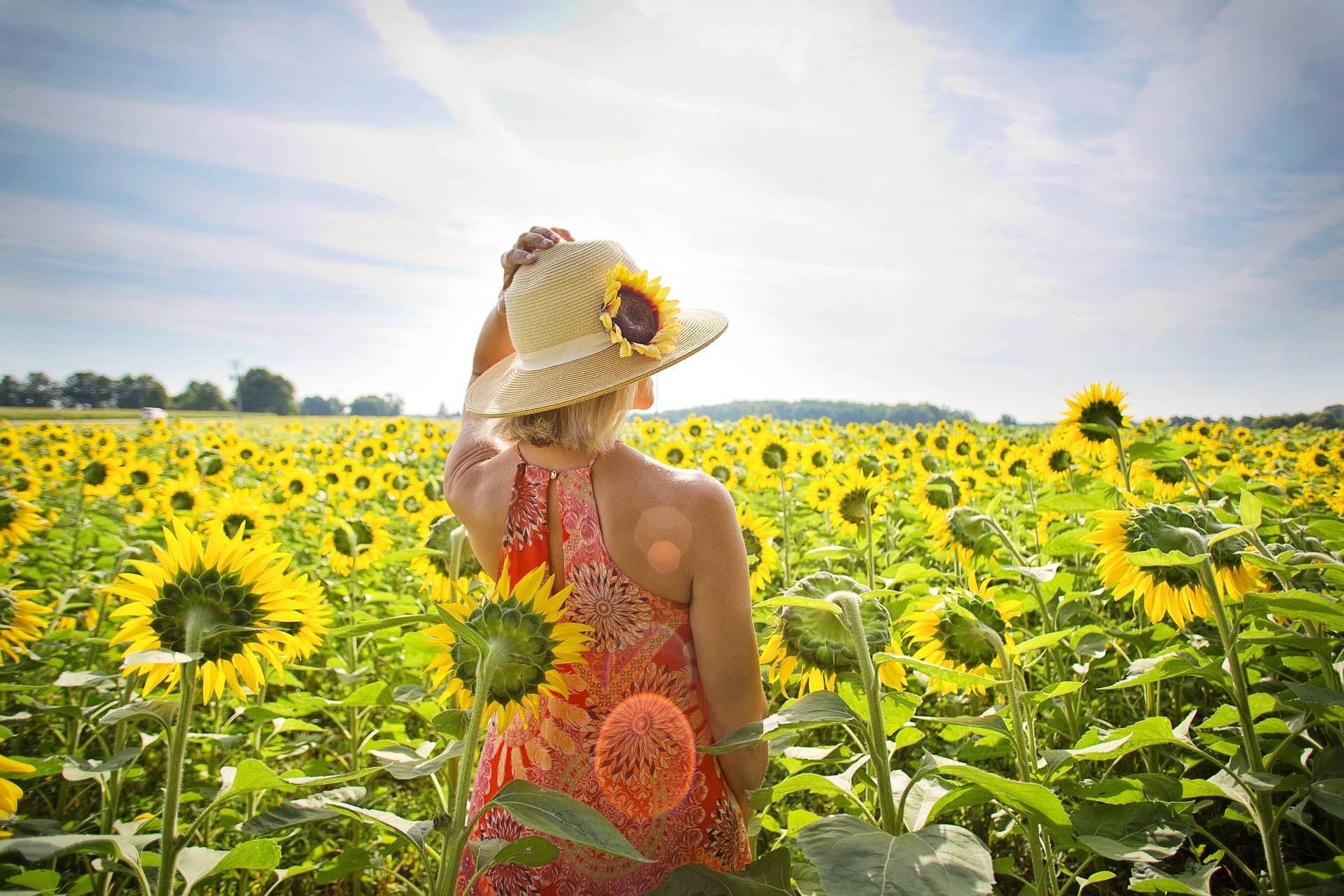 Extremsommer verbessern die Vitamin-D-Versorgung